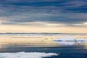 Sea Ice off Spitsbergen Island, Norway